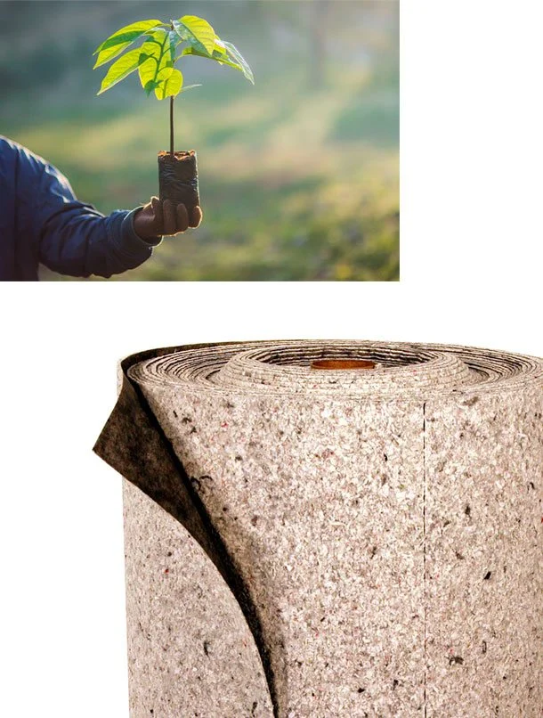 Servicii-de-mutare-politica-de-mediu Servicii-de-mutare-politica-de-mediu