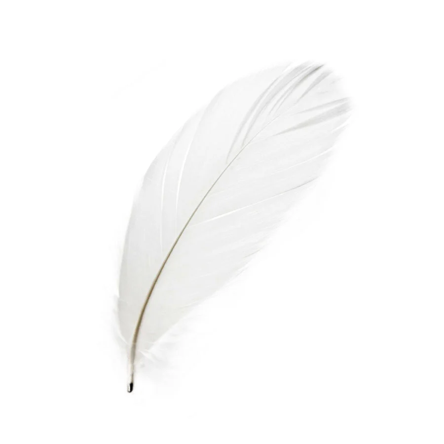 debarasare-mobila-discretie debarasare-mobila-discretie